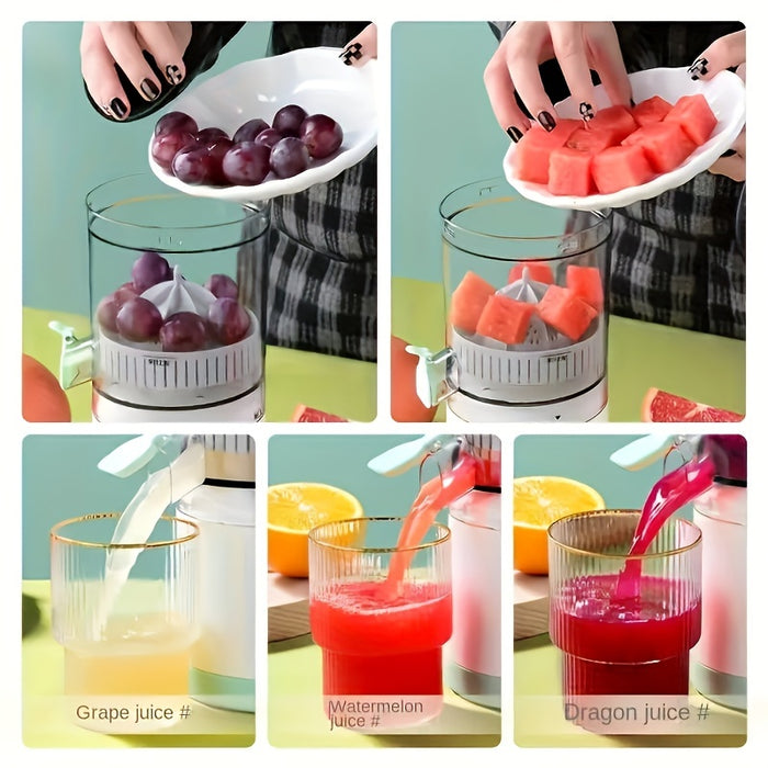 Automatic Fruit Juicer